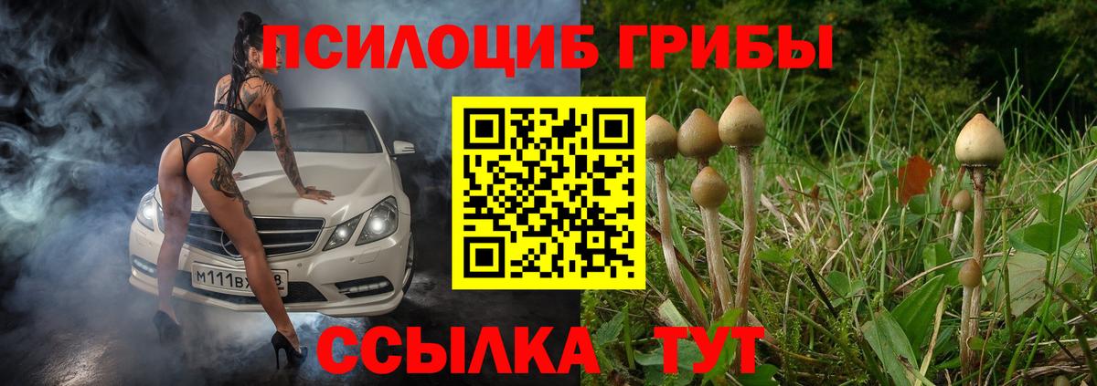 Псилоцибиновые грибы мухоморы  Галлюциногенные грибы GOLDEN TEACHER  Верхняя Салда  Вход с VPN 