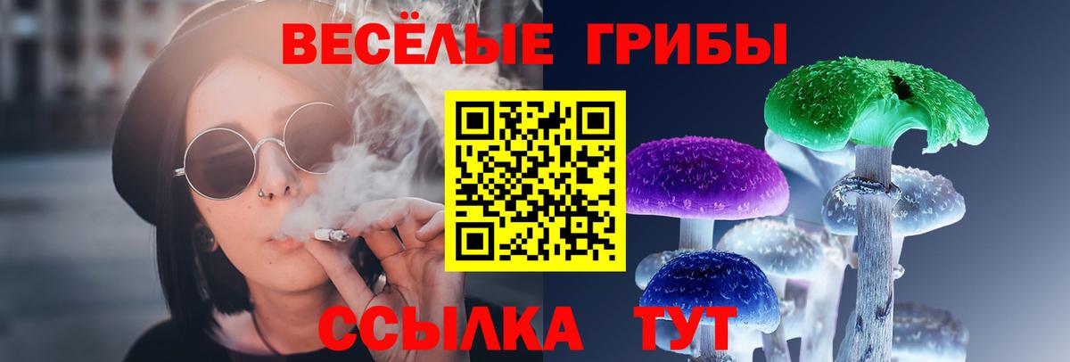 Псилоцибиновые грибы мицелий Верхняя Салда
